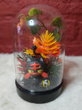Stolp - Pokémon Litten